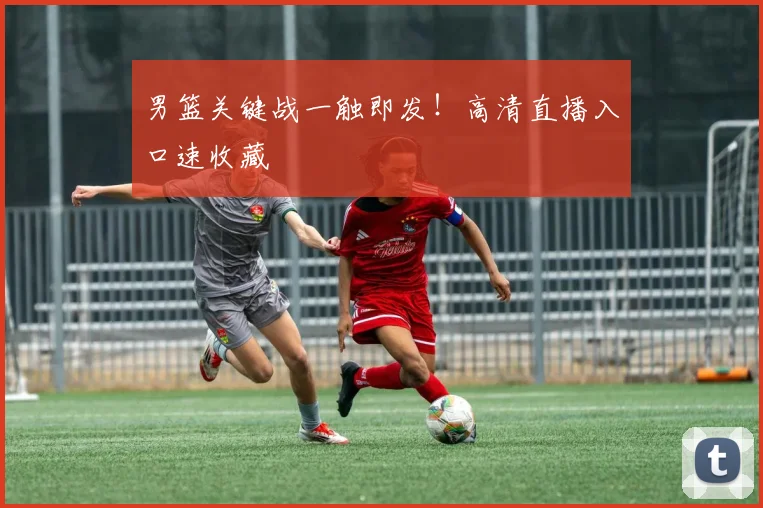 男篮关键战一触即发！高清直播入口速收藏