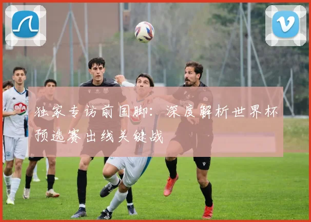 独家专访前国脚：深度解析世界杯预选赛出线关键战