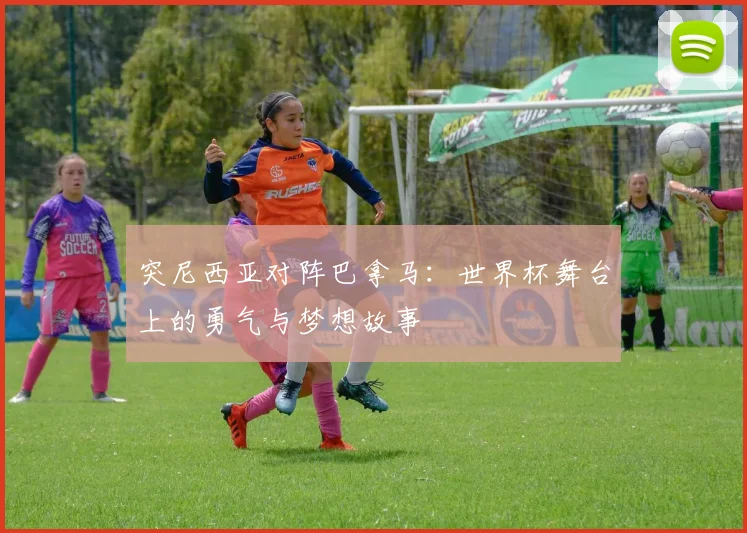 突尼西亚对阵巴拿马：世界杯舞台上的勇气与梦想故事
