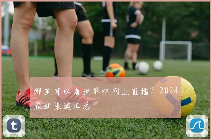 哪里可以看世界杯网上直播?2024最新渠道汇总