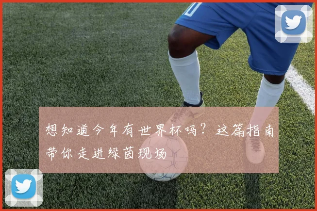 想知道今年有世界杯吗？这篇指南带你走进绿茵现场