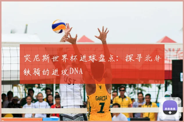 突尼斯世界杯进球盘点：探寻北非铁骑的进攻DNA