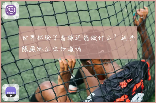 世界杯除了看球还能做什么?这些隐藏玩法你知道吗