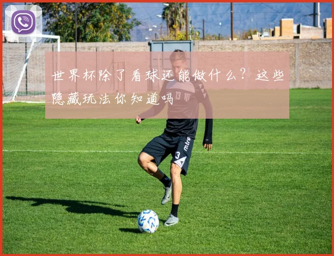世界杯除了看球还能做什么?这些隐藏玩法你知道吗