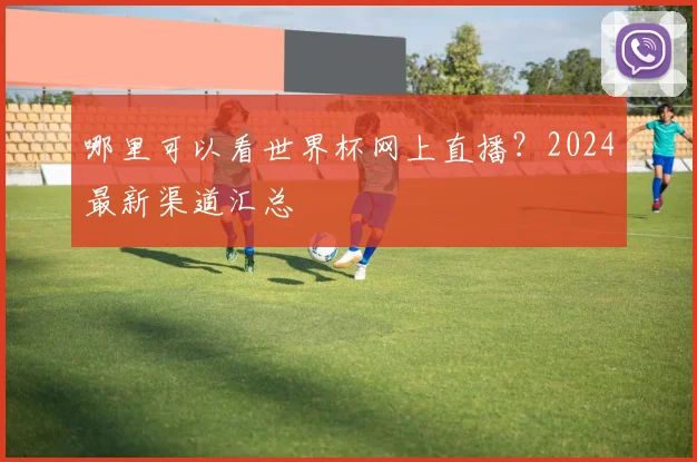 哪里可以看世界杯网上直播？2024最新渠道汇总
