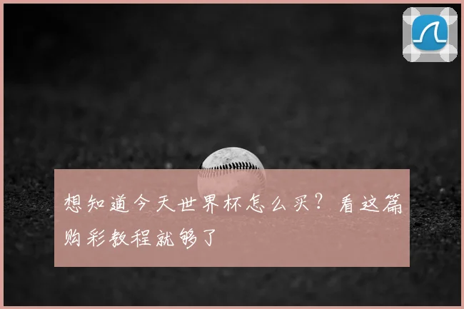 想知道今天世界杯怎么买？看这篇购彩教程就够了
