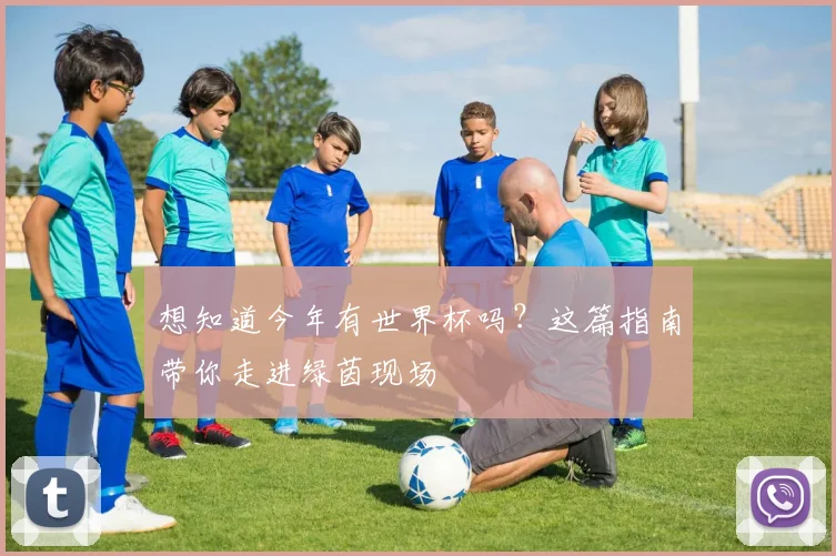 想知道今年有世界杯吗？这篇指南带你走进绿茵现场