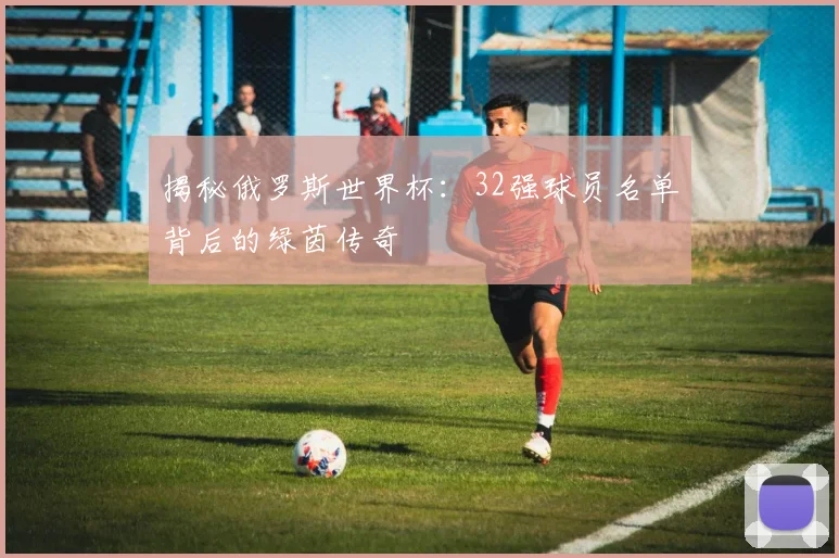揭秘俄罗斯世界杯：32强球员名单背后的绿茵传奇